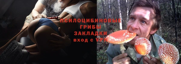 спайс Гусиноозёрск