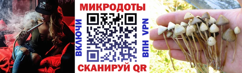 Галлюциногенные грибы мухоморы  MEGA онион  Южноуральск 